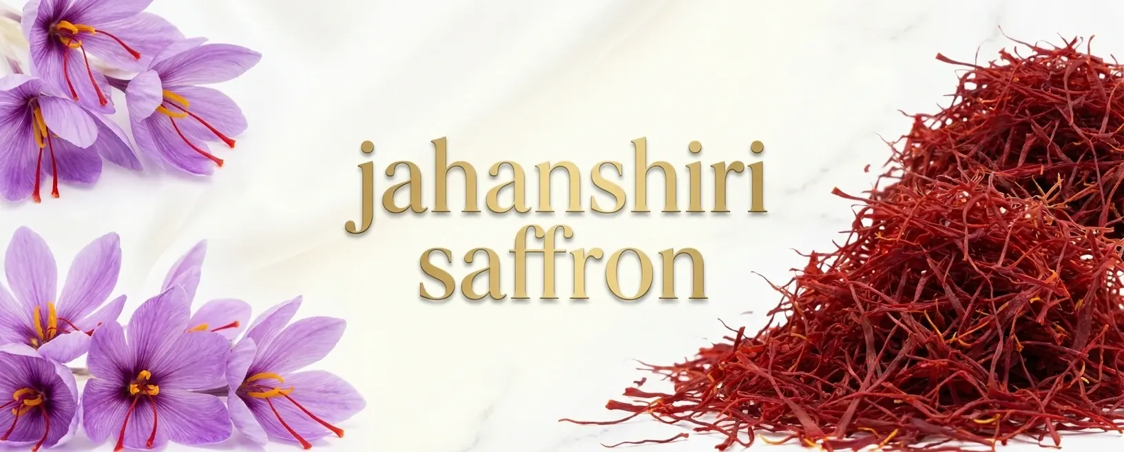 شرکت زعفران ساریج